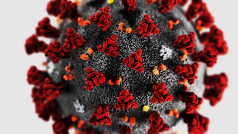 Useful information about COVID-19